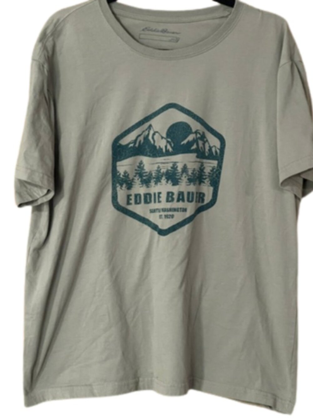 Men's Eddie Bauer t-shirt vintage-style mountain and forest logo sz XL